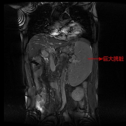 微信图片_20201217144926_meitu_1.jpg