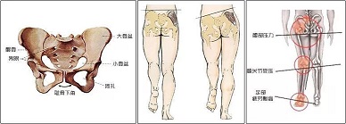 640.webp (5).jpg